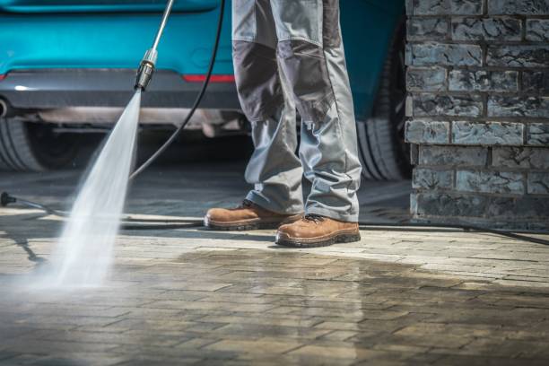 Boat and Dock Cleaning in Albany, CA