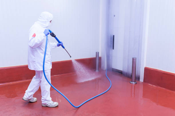 Best Soft Washing  in Albany, CA