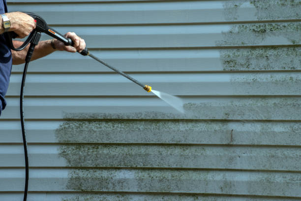 Reliable Albany, CA Pressure Washing Services Solutions