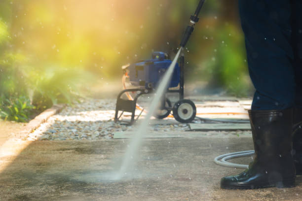 Best Roof Washing  in Albany, CA